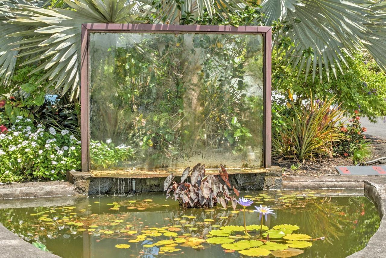 Direct Oceanfront, Big Island Home Кио Экстерьер фото